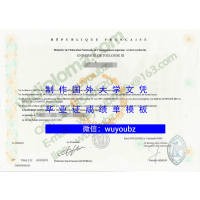 圖盧茲大學文憑(Université de Toulouse diploma)簡稱圖大文憑製作法國文憑